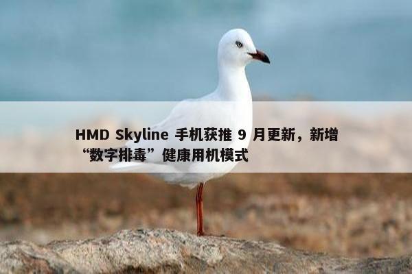 HMD Skyline 手机获推 9 月更新，新增“数字排毒”健康用机模式