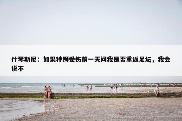 什琴斯尼：如果特狮受伤前一天问我是否重返足坛，我会说不