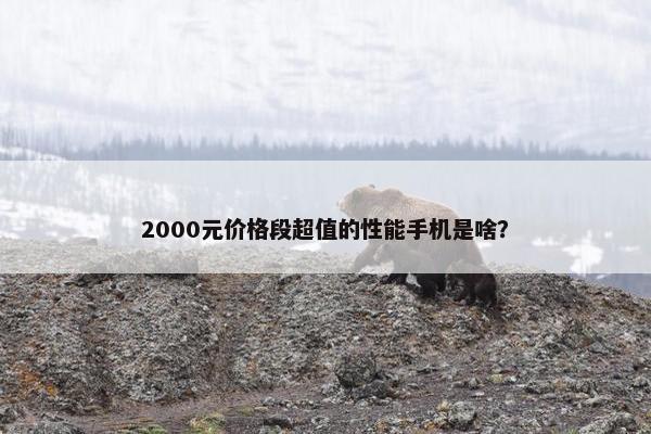 2000元价格段超值的性能手机是啥？