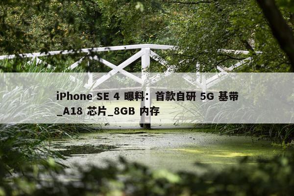 iPhone SE 4 曝料：首款自研 5G 基带_A18 芯片_8GB 内存