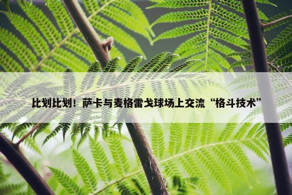 比划比划！萨卡与麦格雷戈球场上交流“格斗技术”