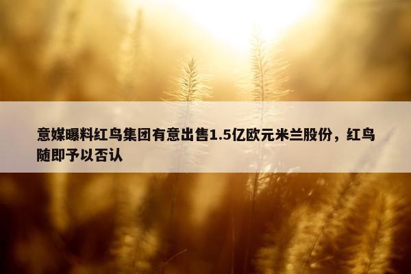 意媒曝料红鸟集团有意出售1.5亿欧元米兰股份，红鸟随即予以否认