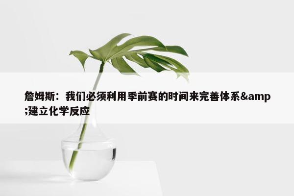 詹姆斯：我们必须利用季前赛的时间来完善体系&建立化学反应