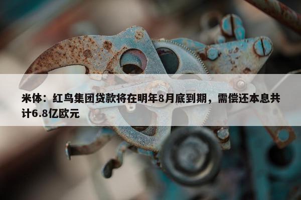 米体：红鸟集团贷款将在明年8月底到期，需偿还本息共计6.8亿欧元