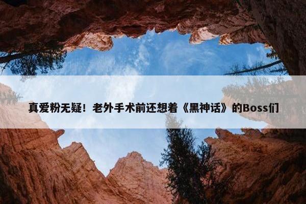 真爱粉无疑！老外手术前还想着《黑神话》的Boss们