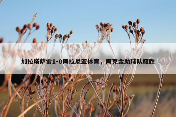 加拉塔萨雷1-0阿拉尼亚体育，阿克金助球队取胜