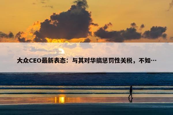 大众CEO最新表态：与其对华搞惩罚性关税，不如…