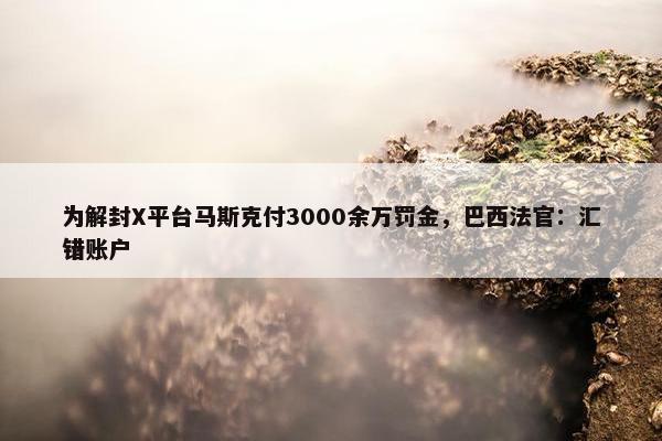 为解封X平台马斯克付3000余万罚金，巴西法官：汇错账户