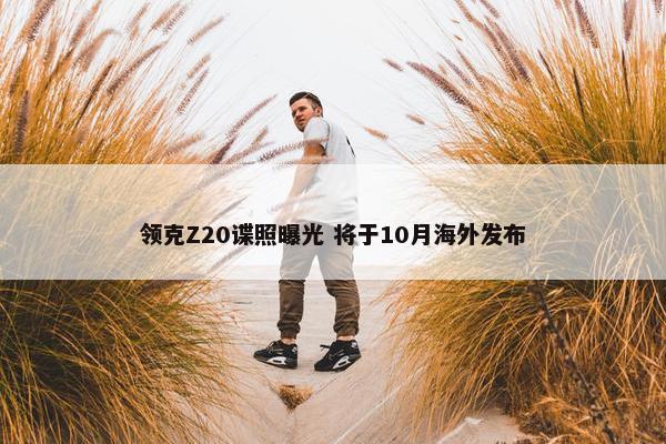 领克Z20谍照曝光 将于10月海外发布