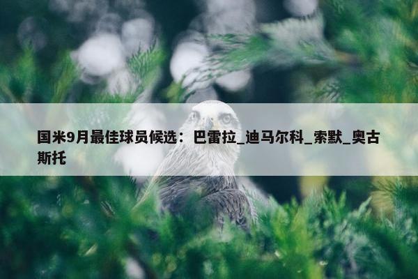 国米9月最佳球员候选：巴雷拉_迪马尔科_索默_奥古斯托