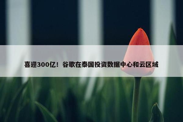 喜迎300亿！谷歌在泰国投资数据中心和云区域