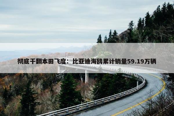 彻底干翻本田飞度：比亚迪海鸥累计销量59.19万辆