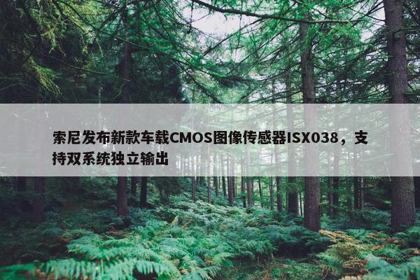 索尼发布新款车载CMOS图像传感器ISX038，支持双系统独立输出