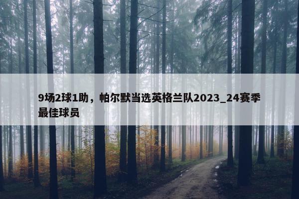 9场2球1助，帕尔默当选英格兰队2023_24赛季最佳球员