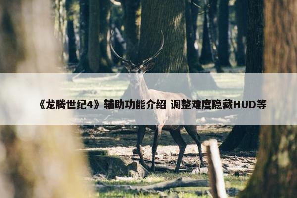 《龙腾世纪4》辅助功能介绍 调整难度隐藏HUD等