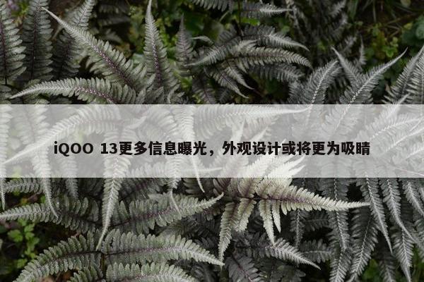 iQOO 13更多信息曝光，外观设计或将更为吸睛