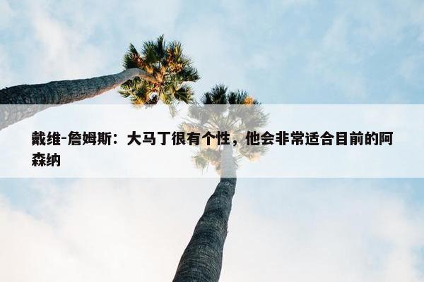 戴维-詹姆斯：大马丁很有个性，他会非常适合目前的阿森纳