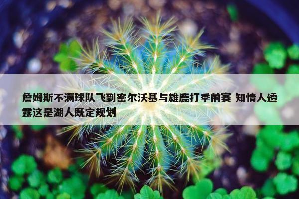 詹姆斯不满球队飞到密尔沃基与雄鹿打季前赛 知情人透露这是湖人既定规划