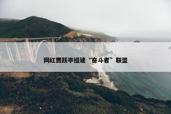 网红贾跃亭组建“奋斗者”联盟