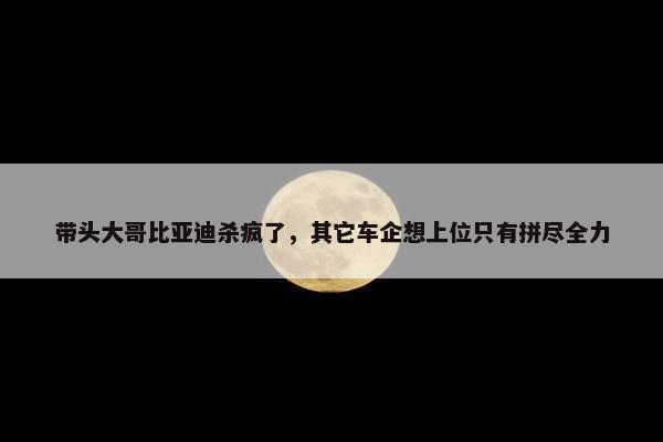 带头大哥比亚迪杀疯了，其它车企想上位只有拼尽全力