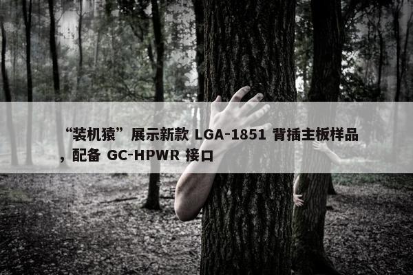 “装机猿”展示新款 LGA-1851 背插主板样品，配备 GC-HPWR 接口