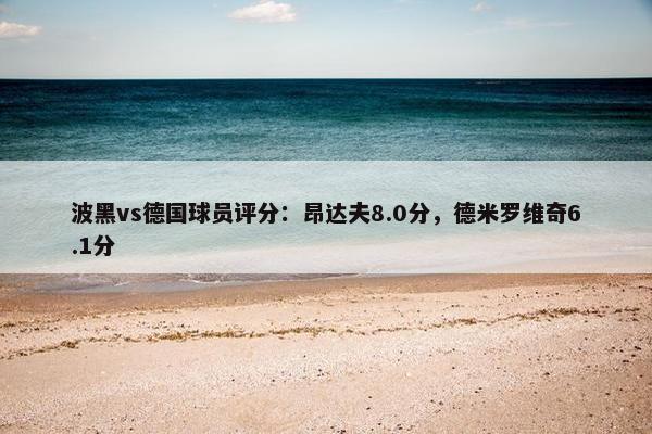 波黑vs德国球员评分：昂达夫8.0分，德米罗维奇6.1分