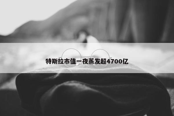 特斯拉市值一夜蒸发超4700亿