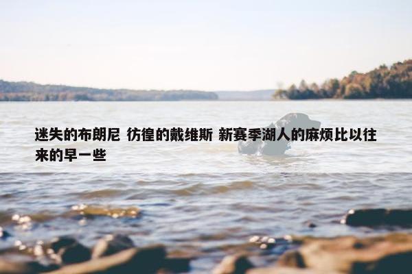 迷失的布朗尼 彷徨的戴维斯 新赛季湖人的麻烦比以往来的早一些