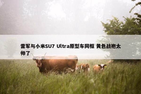 雷军与小米SU7 Ultra原型车同框 黄色战袍太帅了