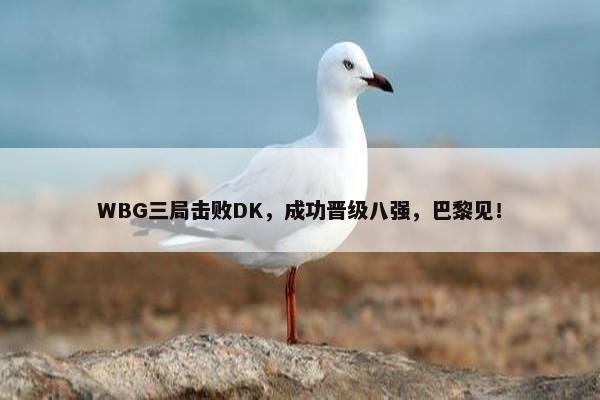 WBG三局击败DK，成功晋级八强，巴黎见！