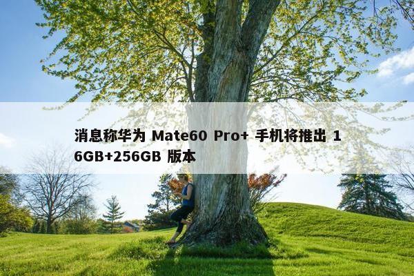 消息称华为 Mate60 Pro+ 手机将推出 16GB+256GB 版本