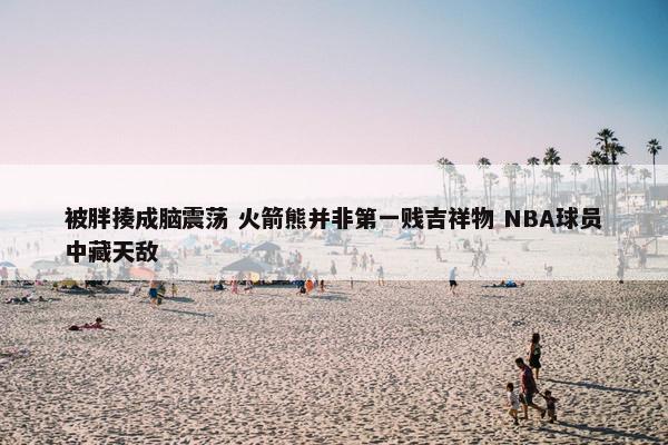 被胖揍成脑震荡 火箭熊并非第一贱吉祥物 NBA球员中藏天敌