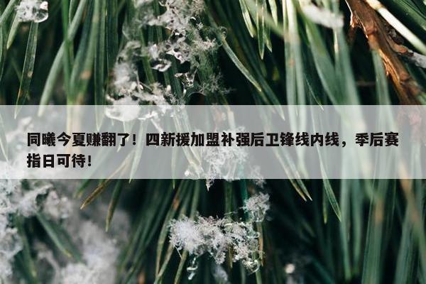 同曦今夏赚翻了！四新援加盟补强后卫锋线内线，季后赛指日可待！