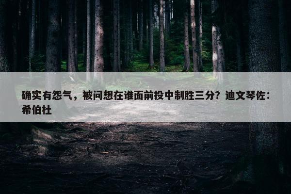 确实有怨气，被问想在谁面前投中制胜三分？迪文琴佐：希伯杜