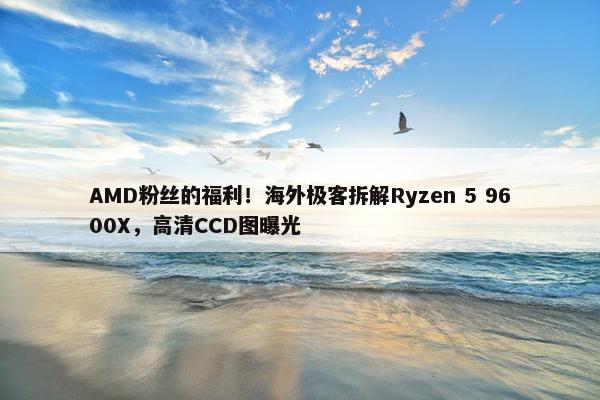 AMD粉丝的福利！海外极客拆解Ryzen 5 9600X，高清CCD图曝光