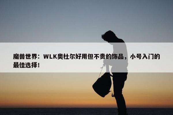 魔兽世界：WLK奥杜尔好用但不贵的饰品，小号入门的最佳选择！