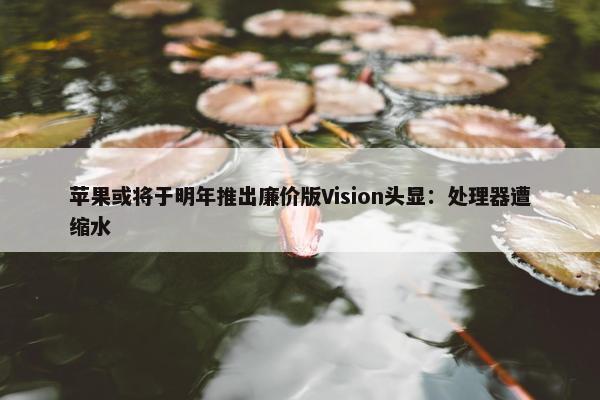 苹果或将于明年推出廉价版Vision头显：处理器遭缩水