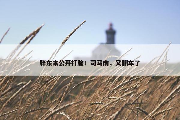 胖东来公开打脸！司马南，又翻车了