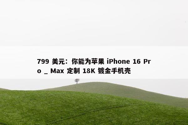 799 美元：你能为苹果 iPhone 16 Pro _ Max 定制 18K 镀金手机壳