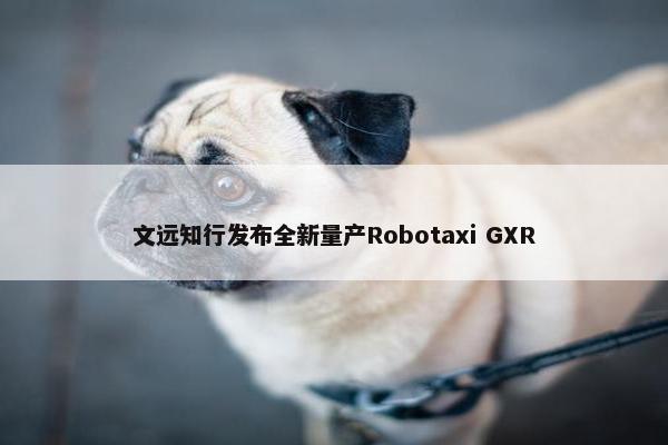 文远知行发布全新量产Robotaxi GXR