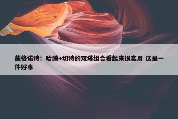 戴格诺特：哈腾+切特的双塔组合看起来很实用 这是一件好事