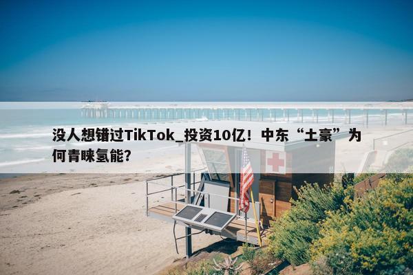 没人想错过TikTok_投资10亿！中东“土豪”为何青睐氢能？