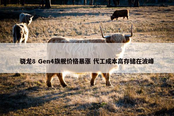 骁龙8 Gen4旗舰价格暴涨 代工成本高存储在波峰