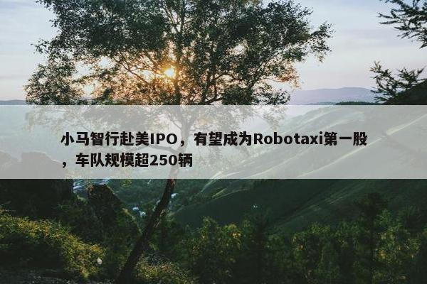 小马智行赴美IPO，有望成为Robotaxi第一股，车队规模超250辆