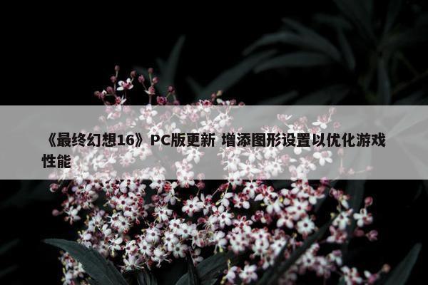 《最终幻想16》PC版更新 增添图形设置以优化游戏性能