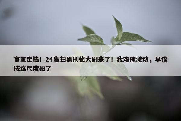 官宣定档！24集扫黑刑侦大剧来了！我难掩激动，早该按这尺度拍了