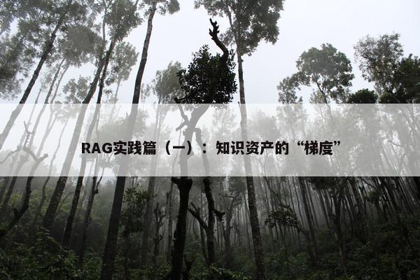 RAG实践篇（一）：知识资产的“梯度”