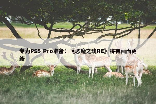 专为PS5 Pro准备：《恶魔之魂RE》将有画面更新