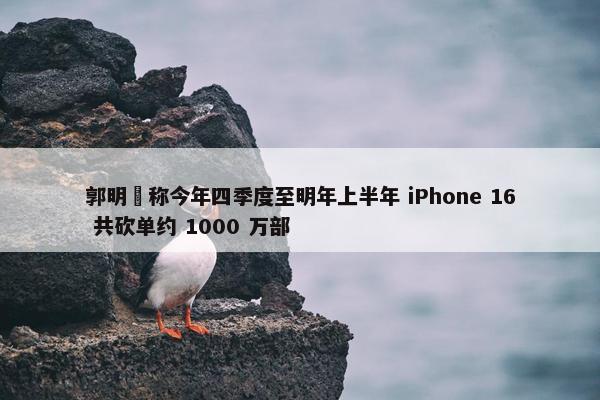 郭明錤称今年四季度至明年上半年 iPhone 16 共砍单约 1000 万部