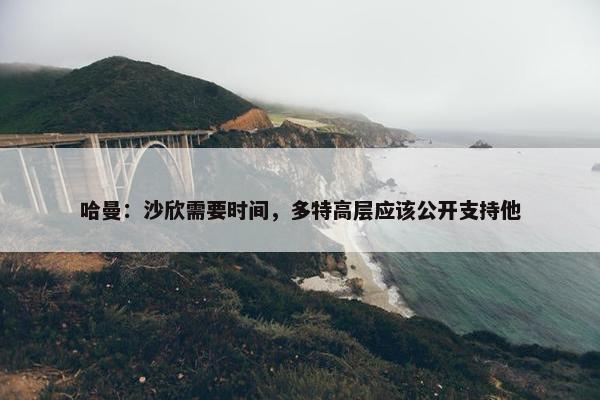 哈曼：沙欣需要时间，多特高层应该公开支持他